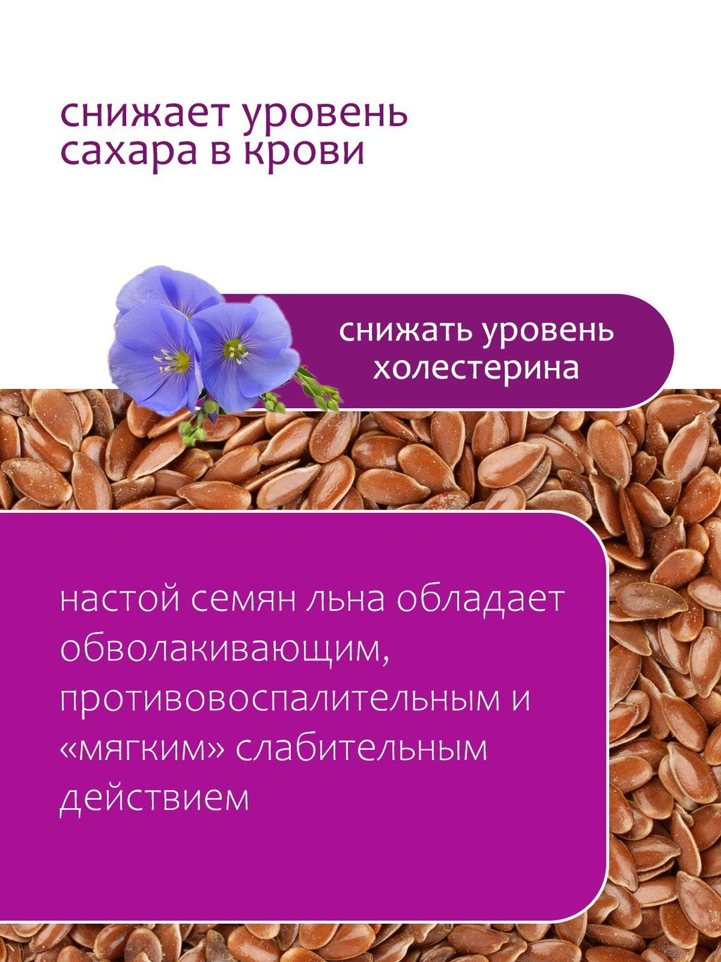 Лён (семя) - Травы горного крыма фото 7