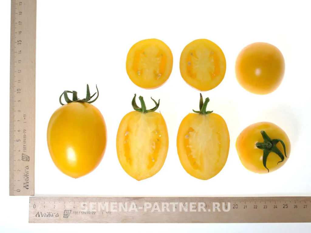 Томат Ренессанс - Партнер фото 6