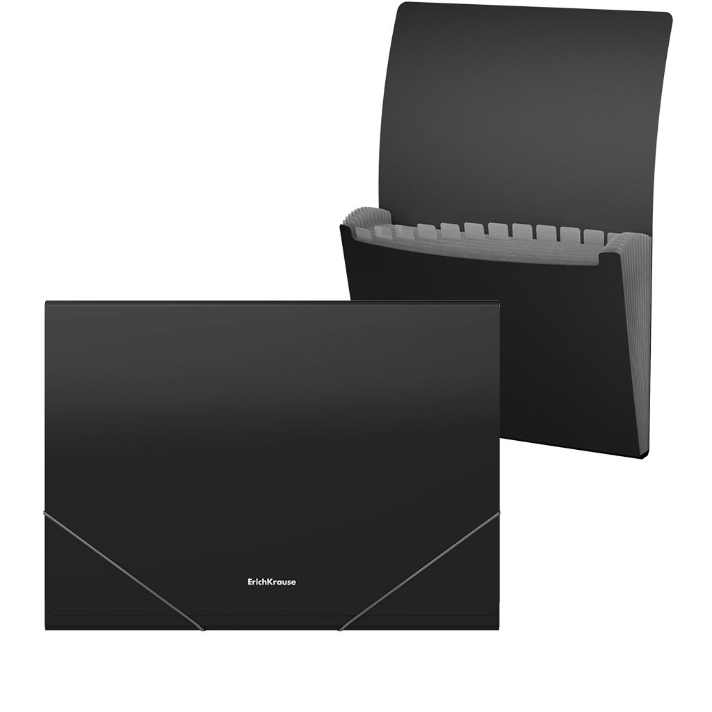 Цена за 4 шт. Папка-картотека пластиковая ErichKrause Matt Classic, с 13 отделениями, A4, черный (в пакете по 4 шт.)