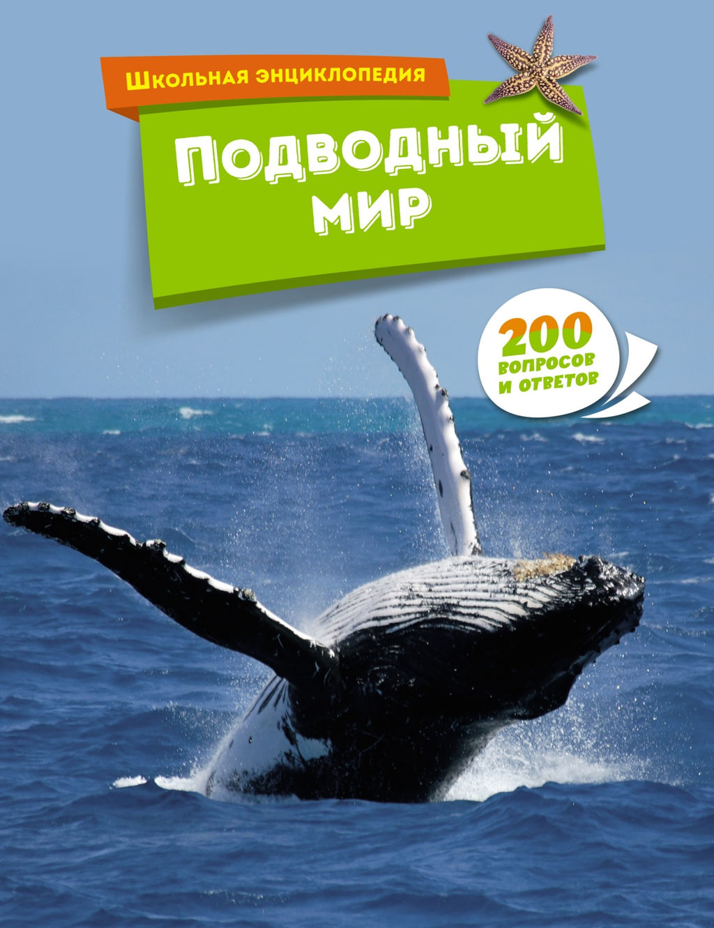 Подводный мир.