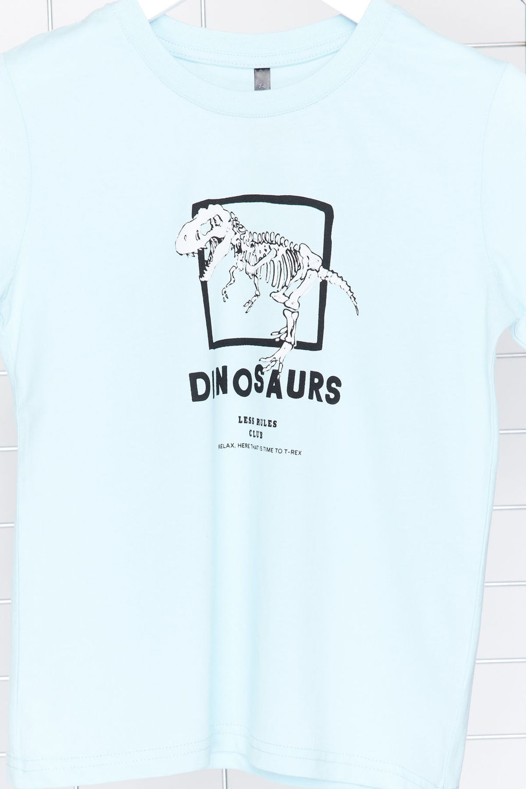 Bebe Mavi Erkek Cocuk %100 Pamuk Dinozor Desenli Regular Kal?p K?sa Kol Orme T-Shirt TKDSS24TS00012 - Trendyolmilla фото 3