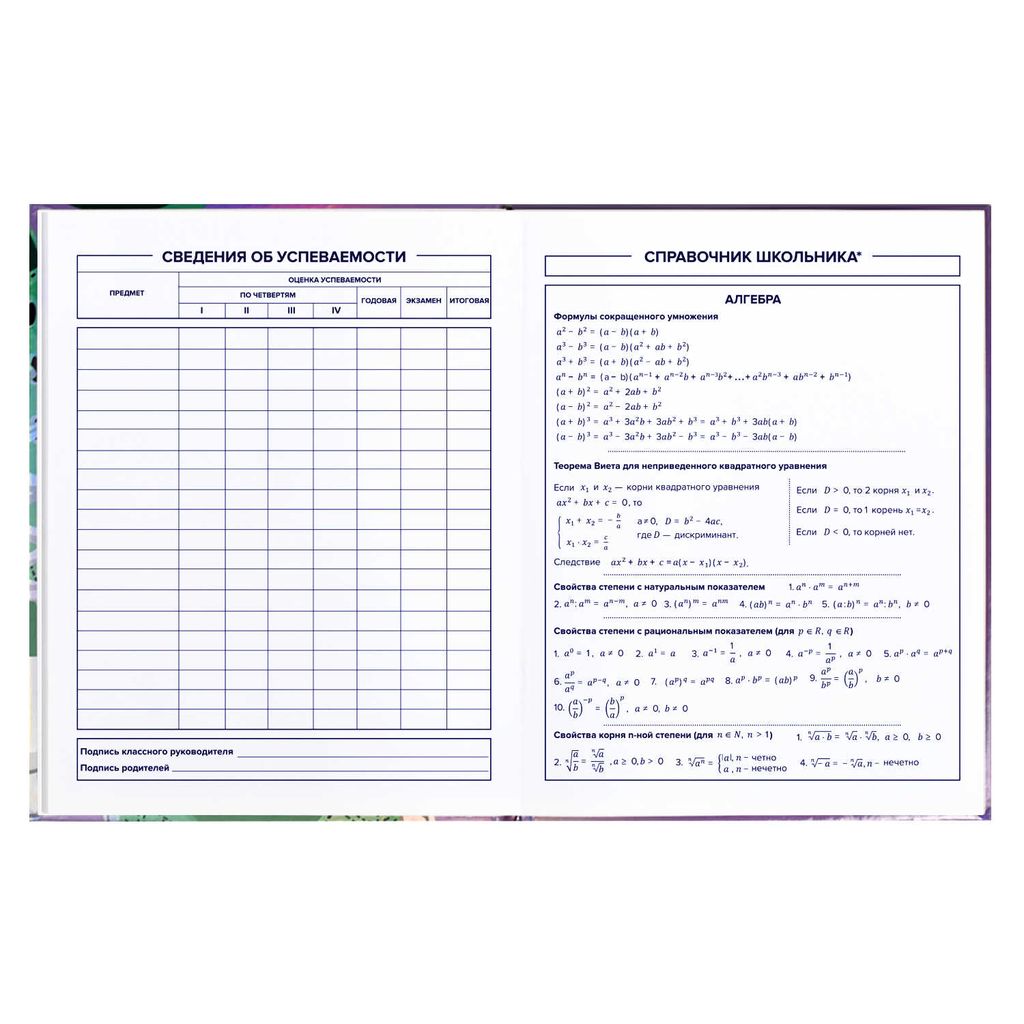 Дневник школьный 5-11 класс арт. 60135 КЕДЫ - Феникс+ фото 10