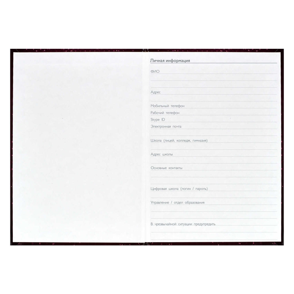 Ежегодник учителя арт. 62336 БОРДОВАЯ ФАКТУРА - Феникс+ фото 24