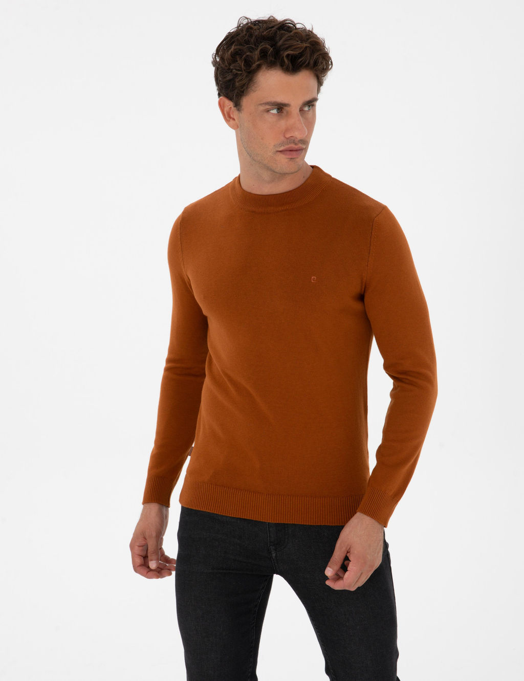 Pas Slim Fit _eyrek Yaka Basic Triko Kazak