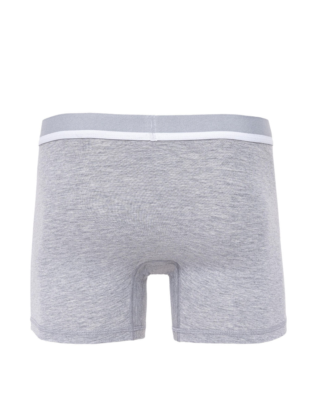 Серые боксеры - Cacharel фото 2