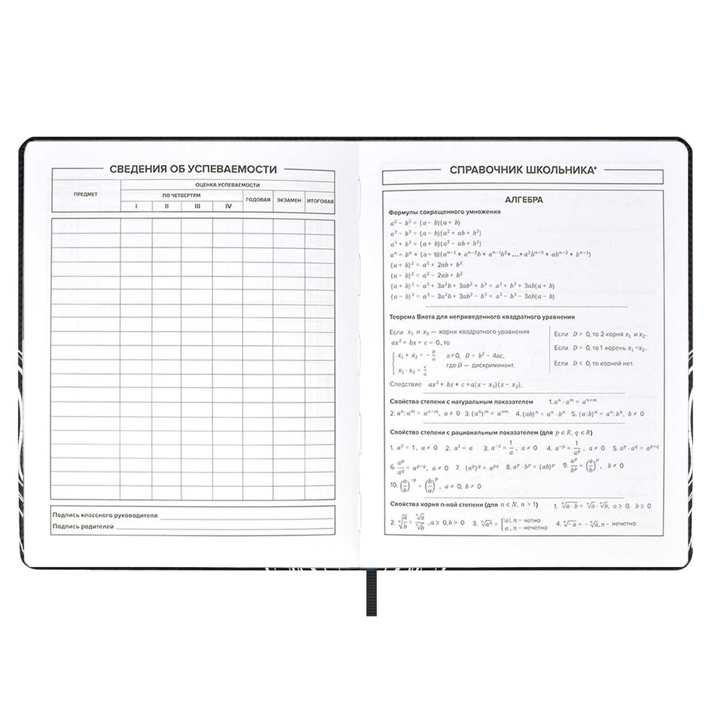 Дневник школьный арт. 59019 / 15 ДЕВУШКА В ОЧКАХ - Феникс+ фото 2