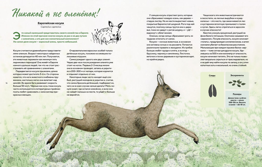 Наши соседи по планете. Рассказы о диких животных. Стегман Л., Янсен Б. - Махаон фото 2