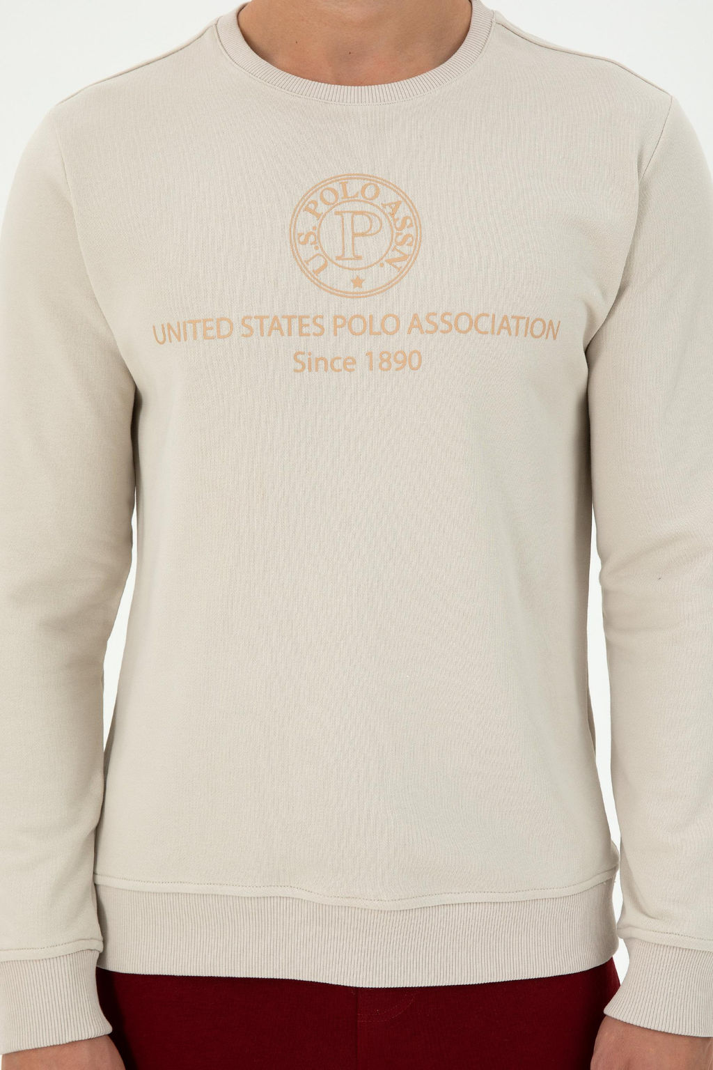 Мужская толстовка с камнем Неожиданная скидка в корзине - U.s. polo assn фото 6