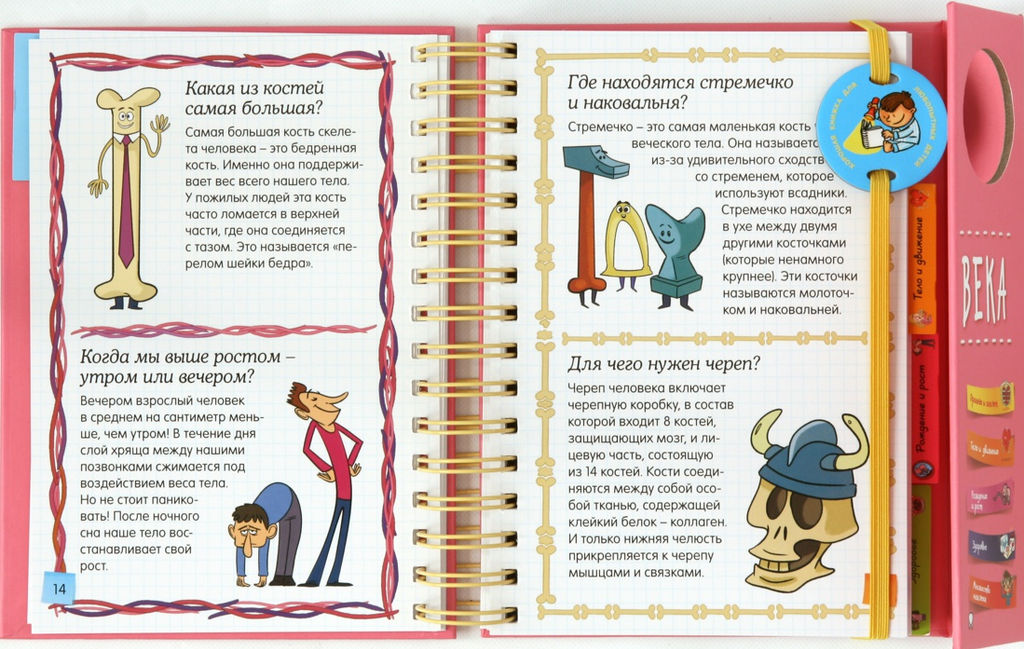 Тело человека (энциклопедия на пружине). Руайе А. - Махаон фото 5