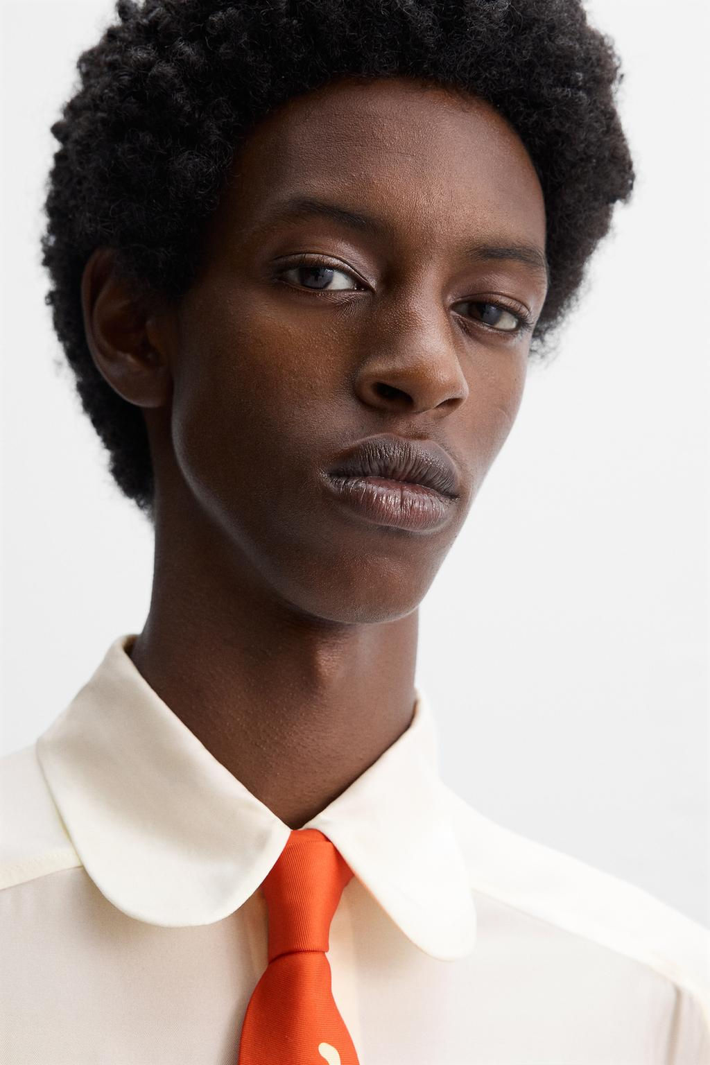 FLOWING SHIRT X HARRY LAMBERT - Zara фото 6