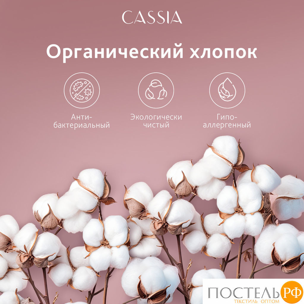 CASSIA Одеяло ЖЕМЧУЖИНА ТИБЕТА лайт 200х220,1пр.,хл./шерсть/микровол., 200г/м2  фото 12