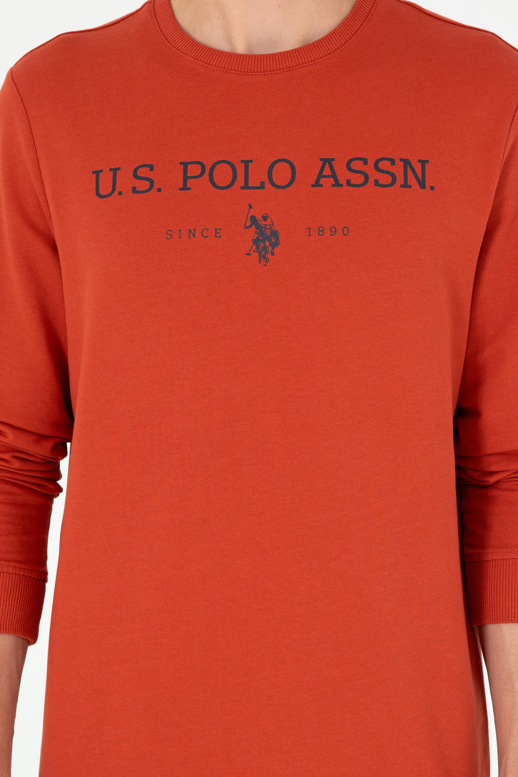 Мужской свитшот с плиткой Неожиданная скидка в корзине - U.s. polo assn фото 6