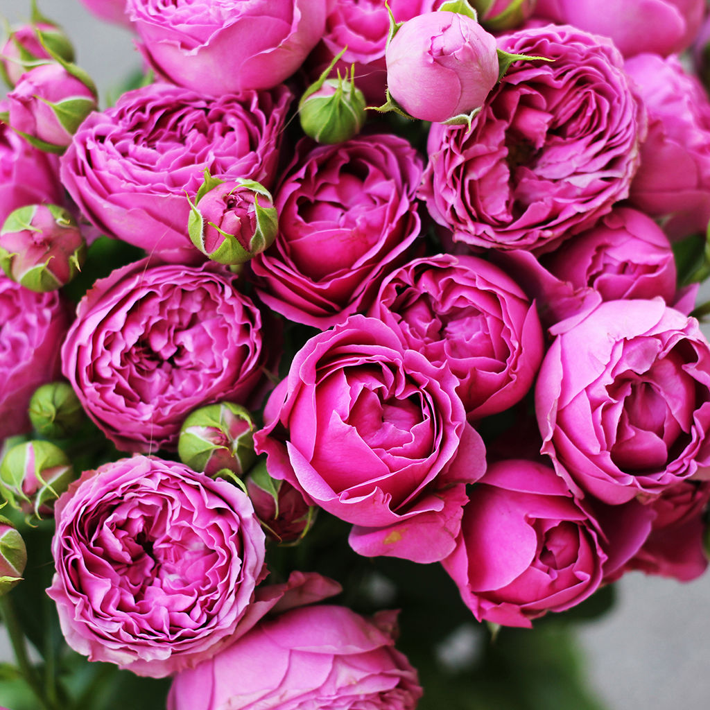 Большой, красивый двусторонний платок с рисунком в стиле арт-декои необычной текстурой ткани - Tantino фото 2