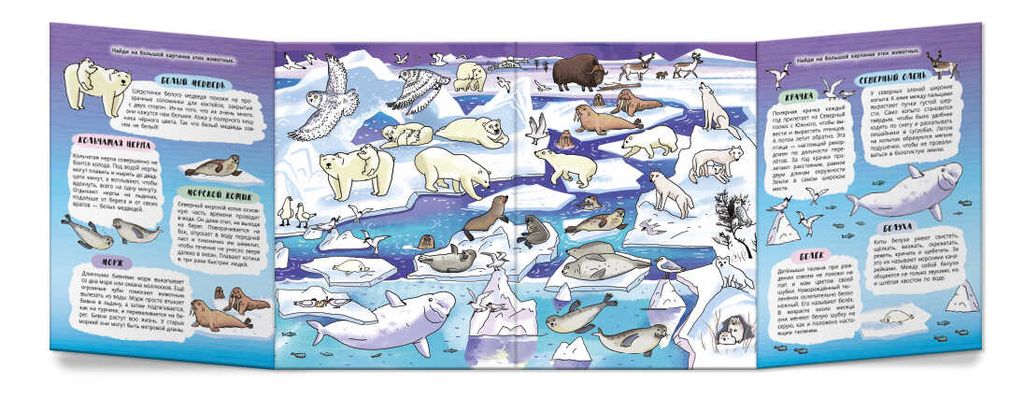 Книжка-картинка для детей. Серия Найди, покажи, узнай арт. 59039 СНЕЖНЫЙ СЕВЕР - Феникс+ фото 3