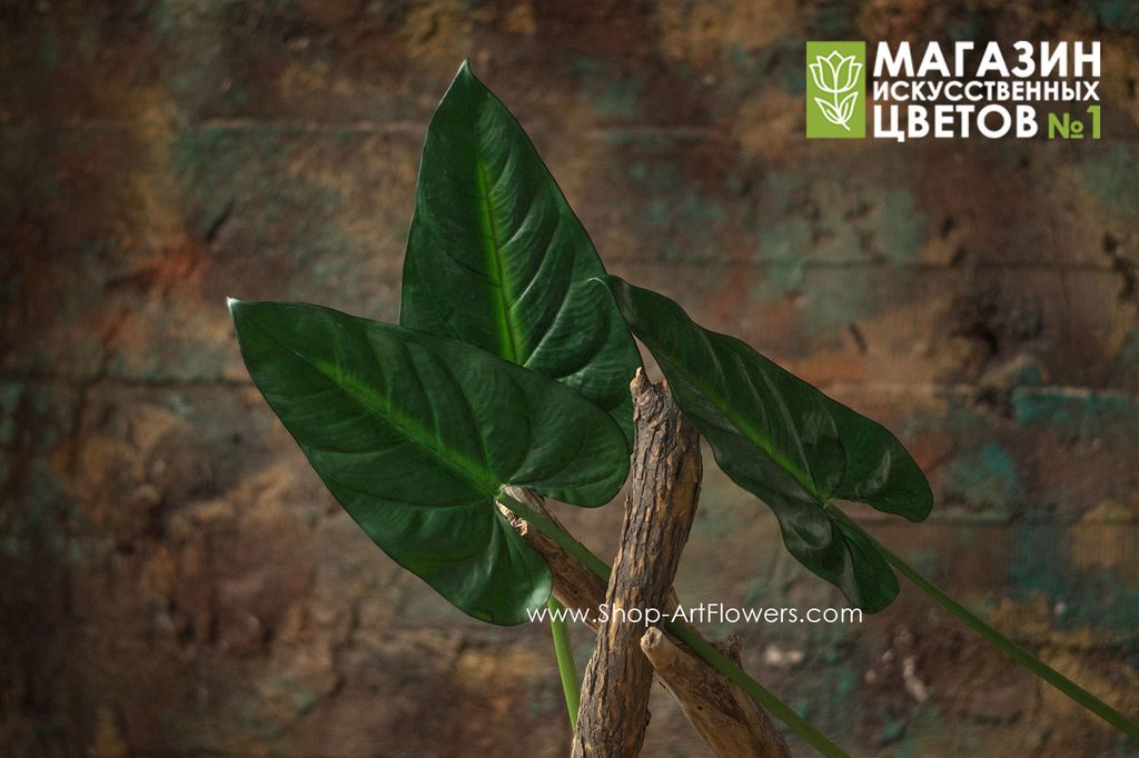 093 Лист каллы - Без тм фото 2