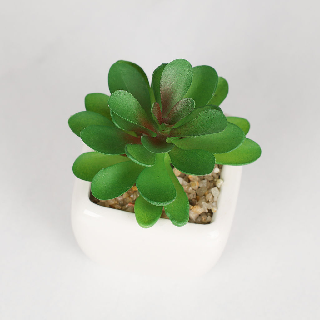 Цветочная композиция Кактус 9 см / FA2891 /уп 12/192/