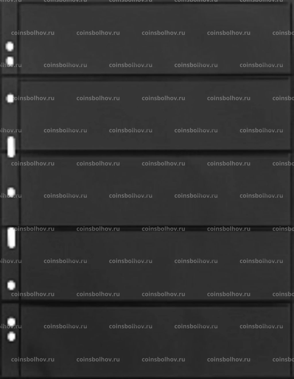 Лист для банкнот на 5 ячеек формат Grande 5S Черный LEUCHTTURM 312953