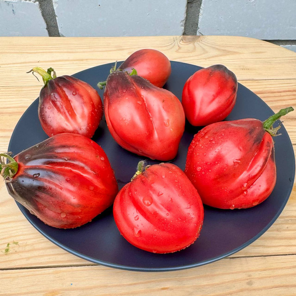 Малиновые носики Сержанта Пеппера Новинка: 2025 года