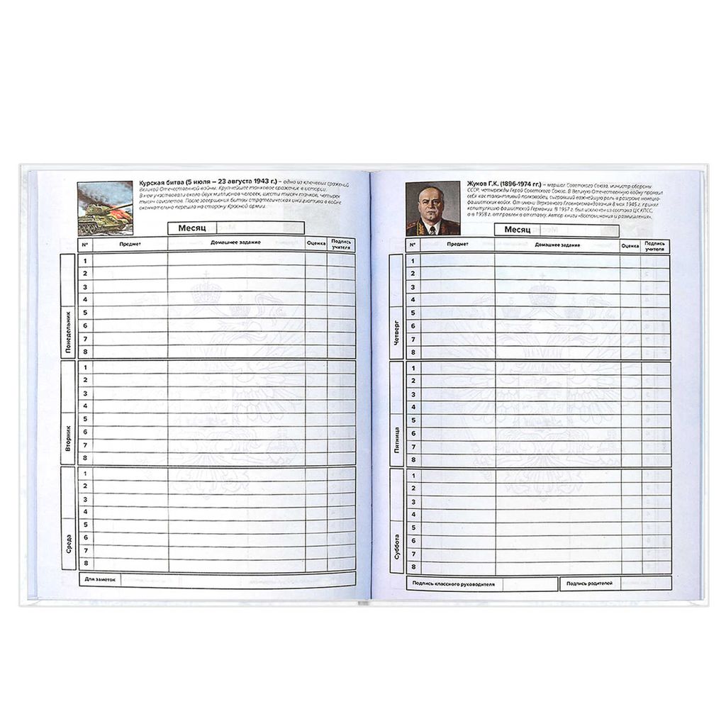 Дневник российского школьника арт. 60148 ТРИАДА НА БЕЛОМ - Феникс+ фото 12