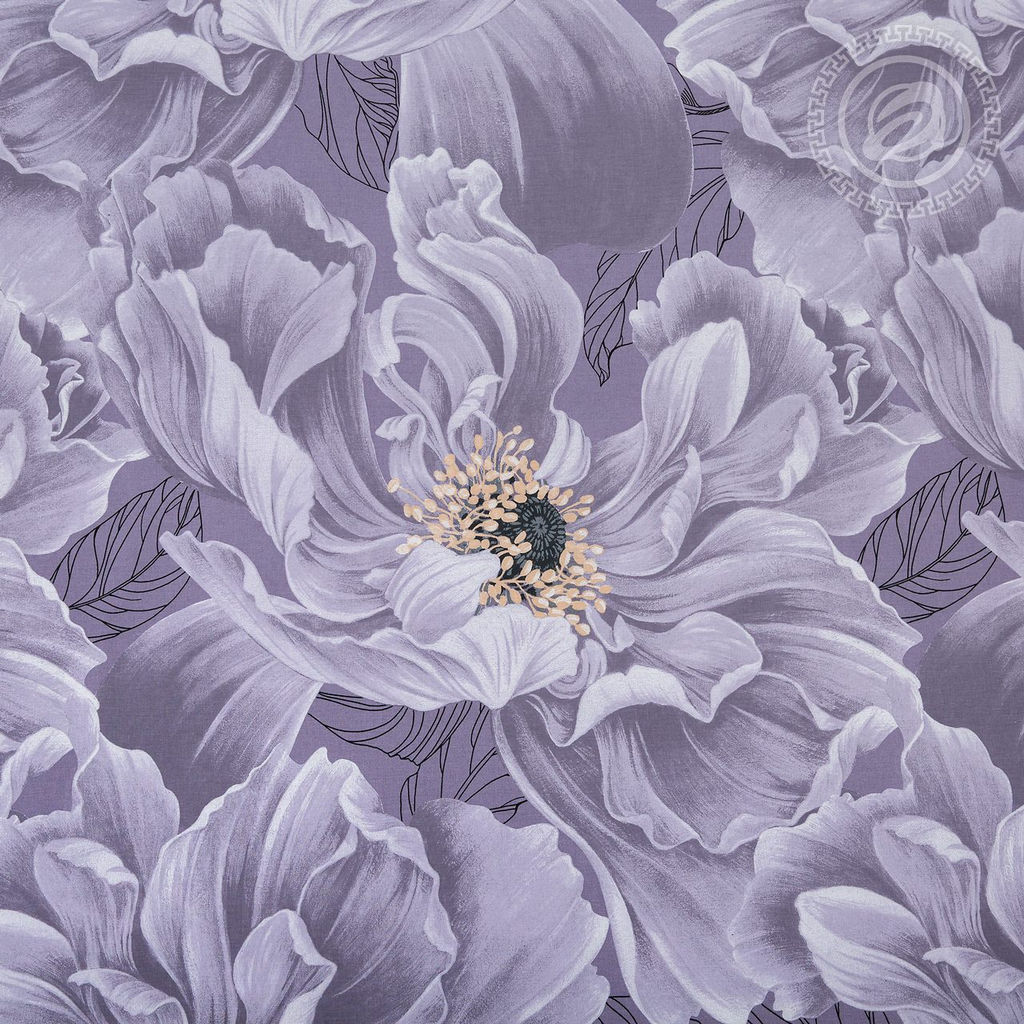 Постельное белье Шанс (поплин DE LUXE) 2,0 сп./Пододеяльник: 1 шт. - 215*175; Простыня: 1 шт. - 215*200; Наволочка: 2 шт. - 70*70; DE LUXE