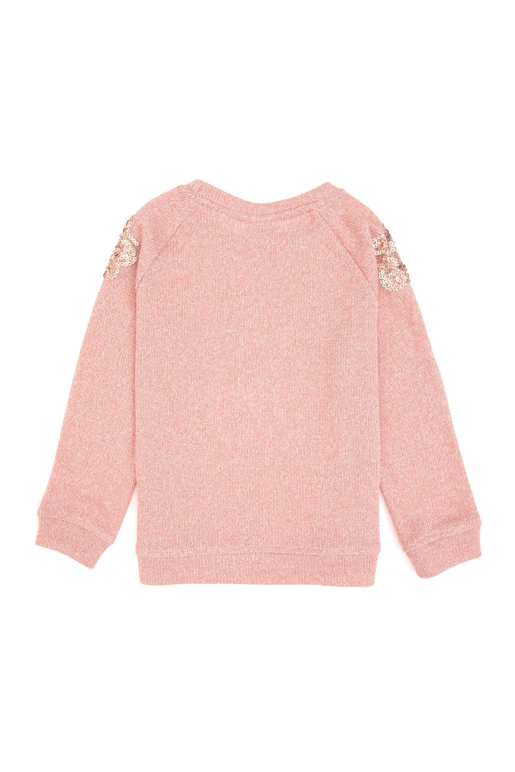 K_z _ocuk A__k Pembe Bisiklet Yaka Sweatshirt - U.s. polo assn фото 3