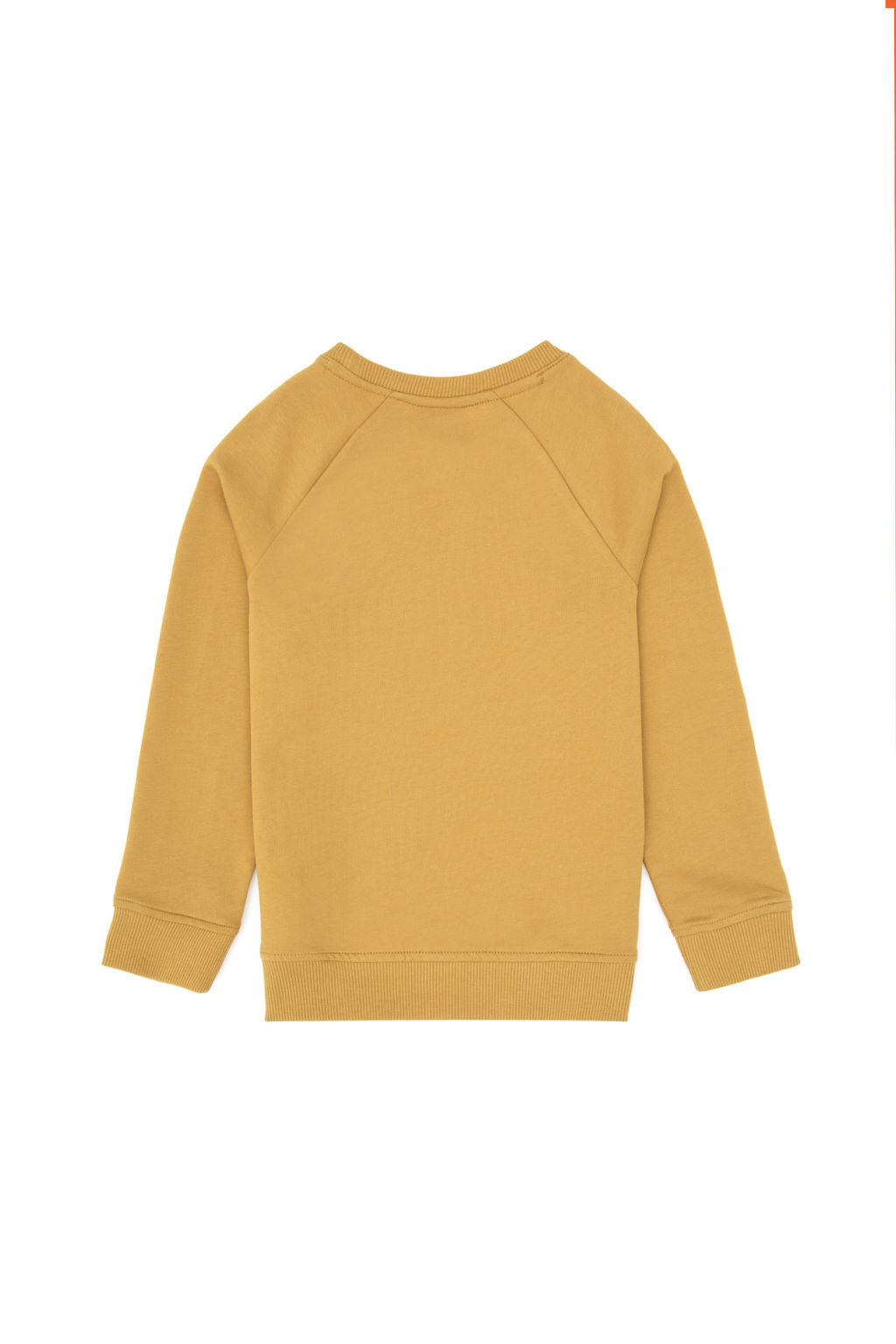 Erkek _ocuk Hardal Basic Sweatshirt Sepette S_rpriz _ndirim - U.s. polo assn фото 11