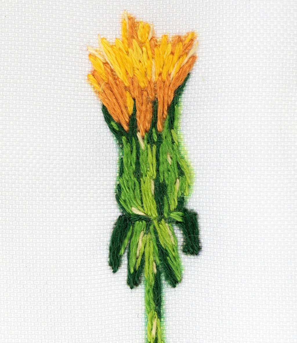 Набор для вышивания PANNA Живая картина JK-2280 Паттерн. Одуванчики 24 х 30 см