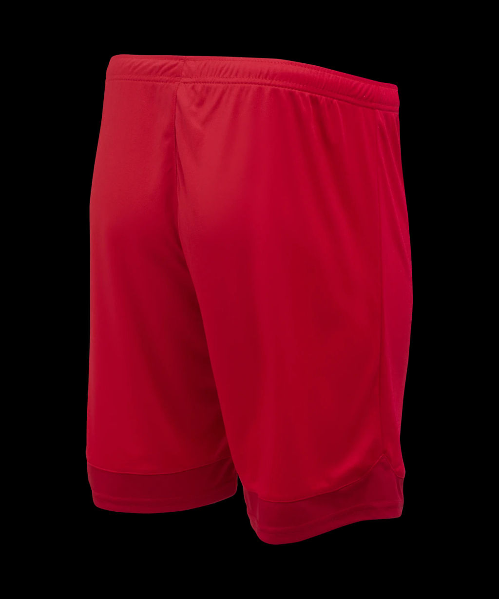 Шорты игровые JOGEL DIVISION PerFormDRY Union Shorts, красный/темно-красный/белый фото 5