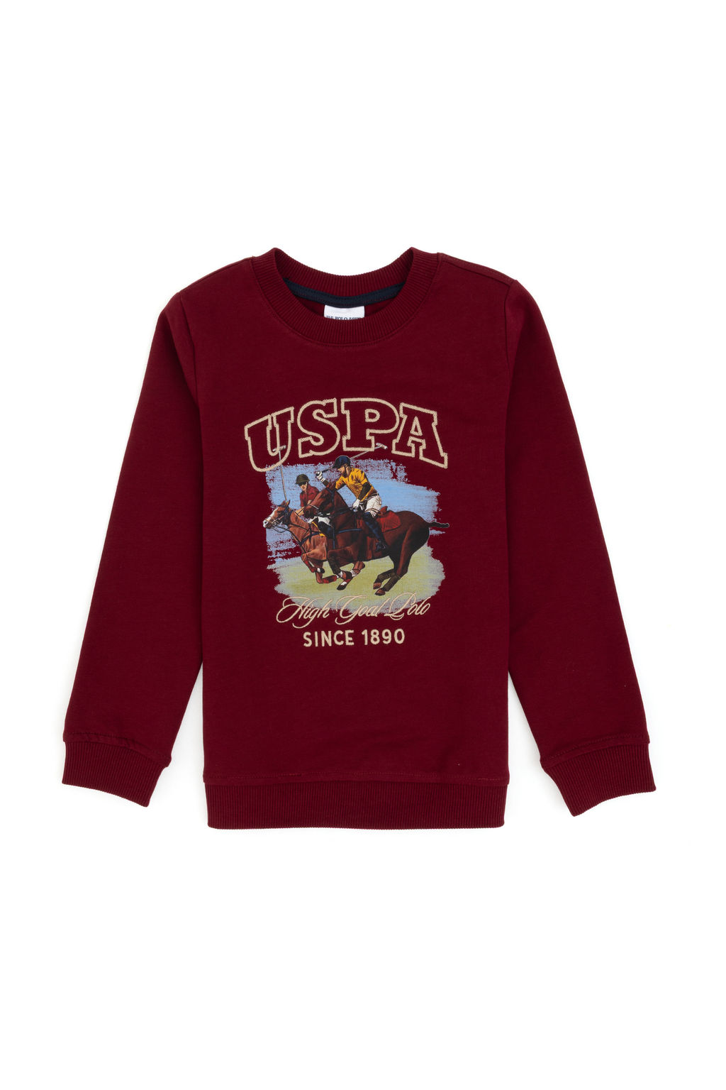 Erkek _ocuk Bordo Bisiklet Yaka _nce Bisiklet Yaka Sweatshirt - U.s. polo assn фото 4