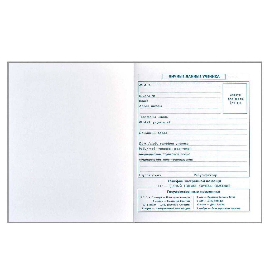 Дневник школьный 1-4 класс арт. 60069 РОБОТ НА СКЕЙТЕ - Феникс+ фото 6