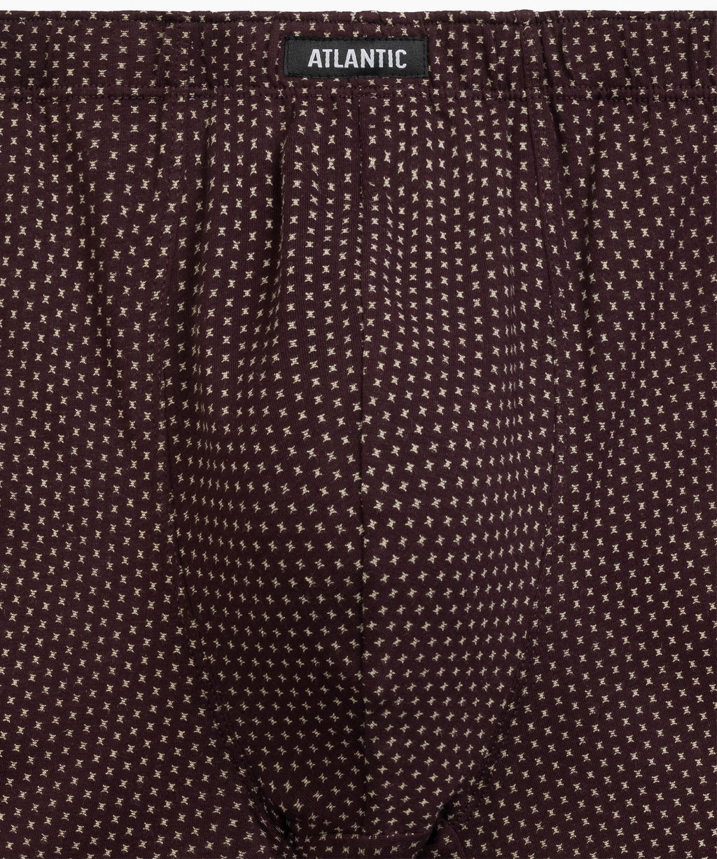 ATLANTIC 3MH-218 Трусы шорты Small Print - набор 3 шт. изумрудный + темно-серый меланж + баклажан  фото 6