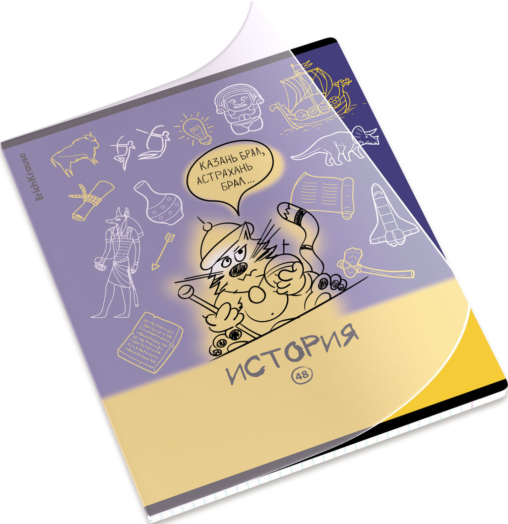 Цена за 5 шт. Тетрадь общая ученическая с пластиковой обложкой на скобе ErichKrause Котоформулы, История, 48 листов, клетка  фото 6