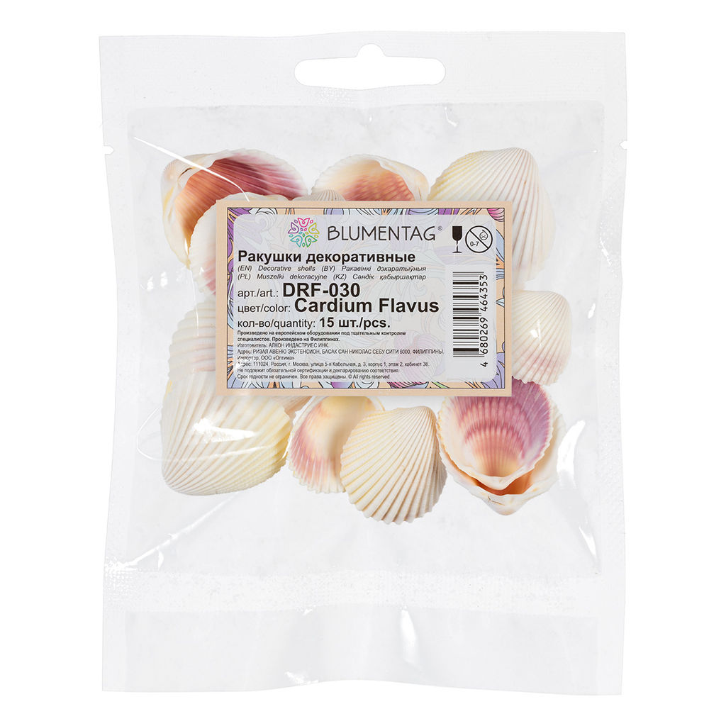Blumentag / Zlatka DRF-030 Ракушки морские 15 шт. 5 см Cardium Flavus