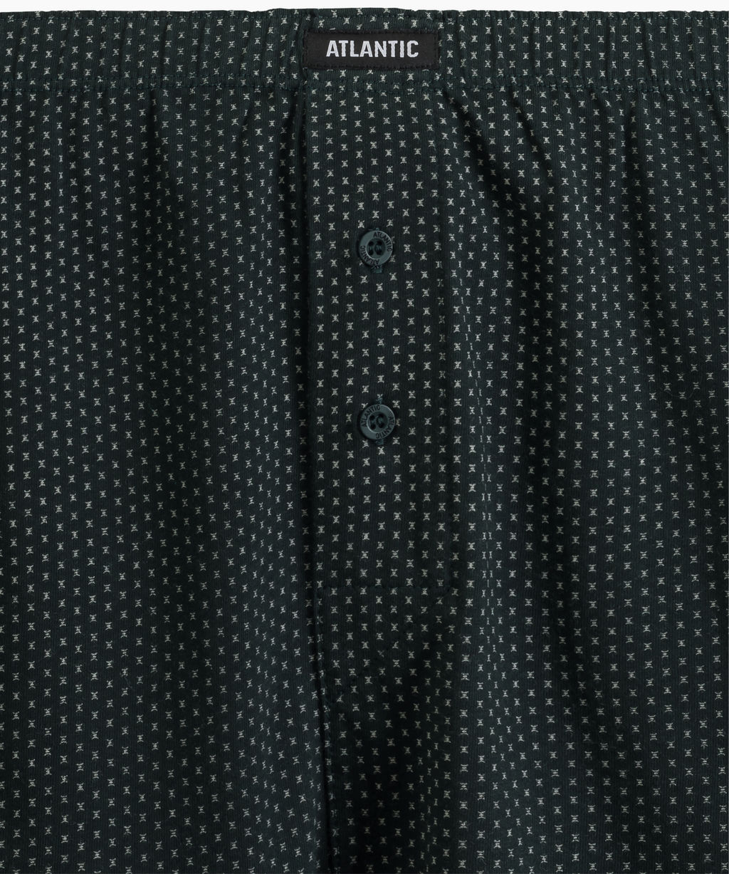 ATLANTIC 2MBX-079 Трусы боксеры Small Print - набор 2 шт. баклажан + изумрудный фото 5