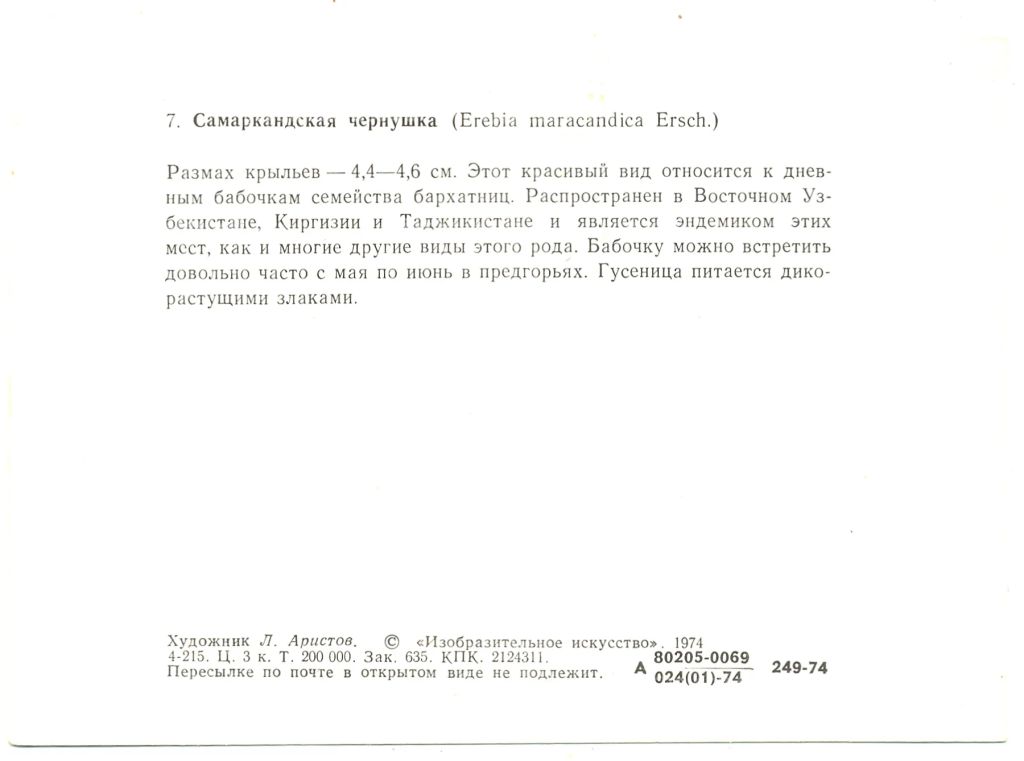 Открытка бабочки  Самаркандская чернушка