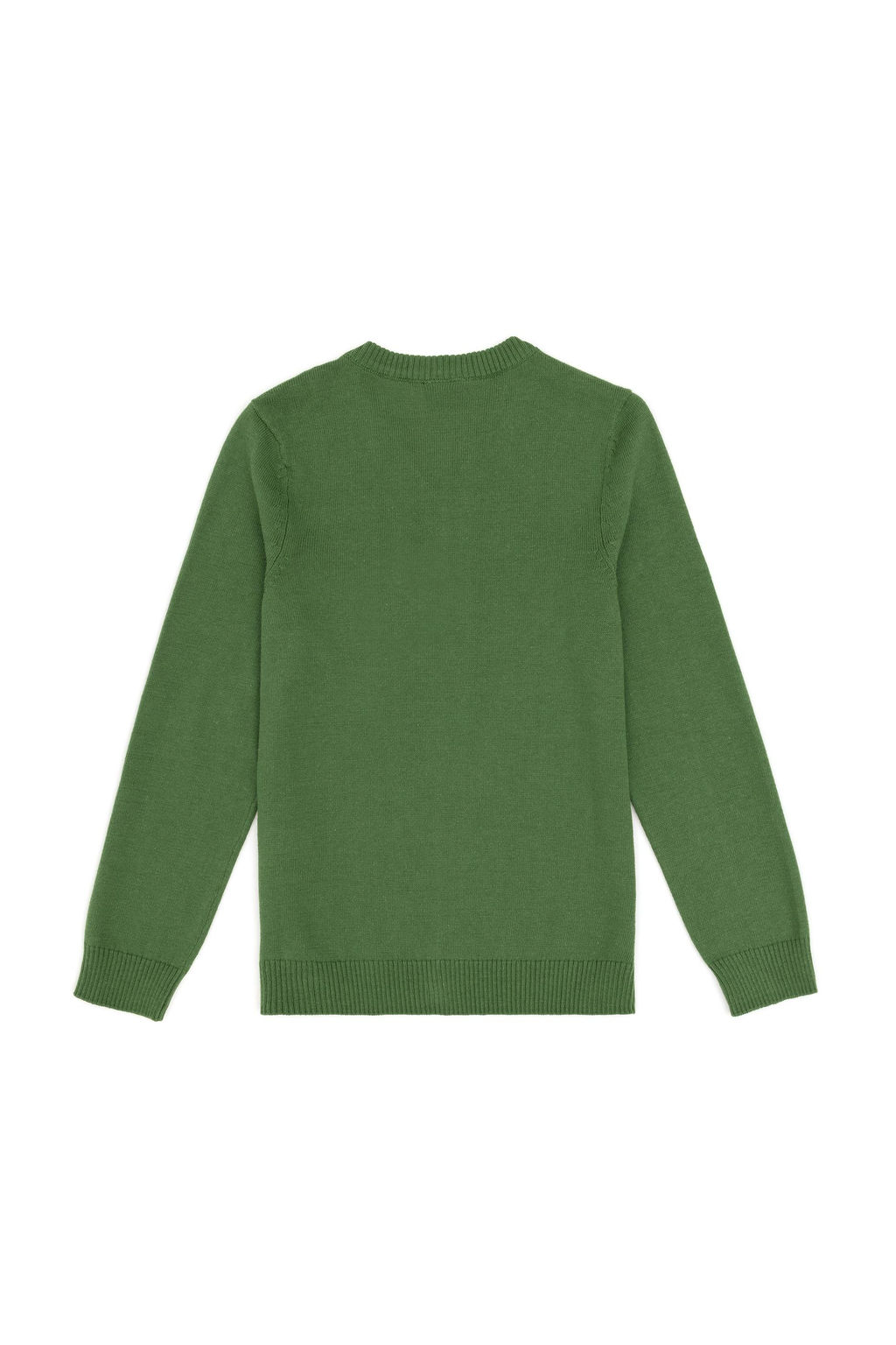 Зеленый базовый свитер для мальчика Неожиданная скидка в корзине - U.s. polo assn фото 2