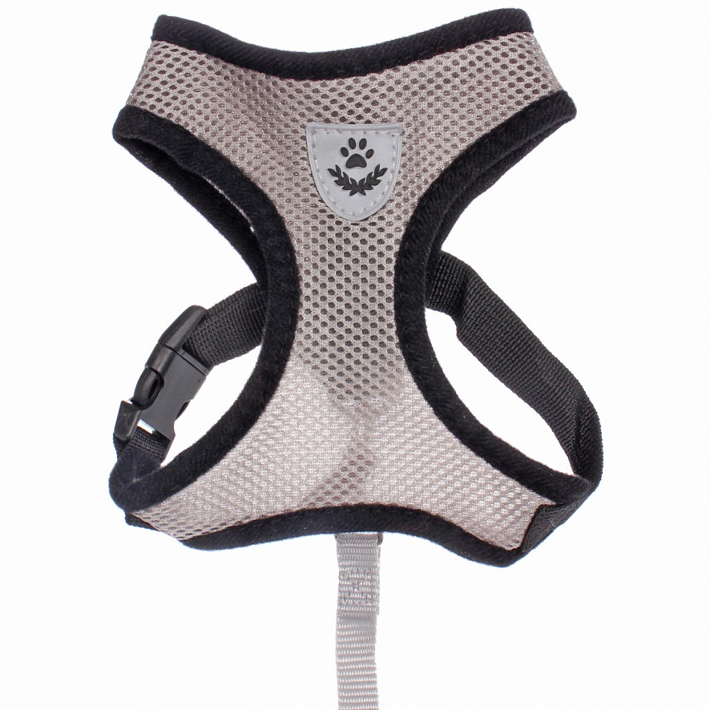 Цена за 2 шт. Шлейка с поводком 118см "Sweet puppy" размер M, цвет серый