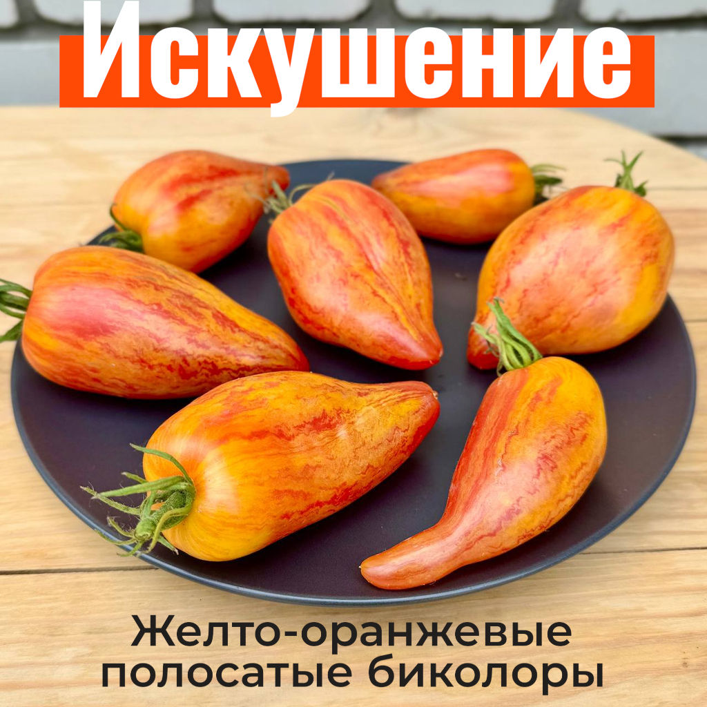 Искушение Новинка: 2025 года - Tomatia фото 3