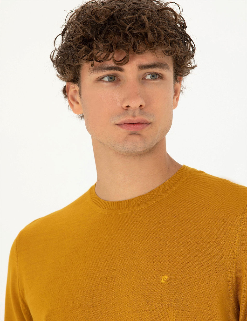 Safran Slim Fit Bisiklet Yaka Y_n Kar___ml_ Basic Triko Kazak - Pierre cardin фото 2