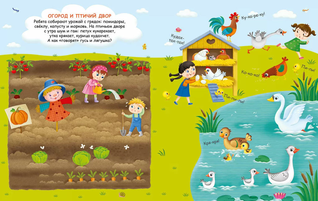 Переводные картинки. В деревне - Робинс фото 5