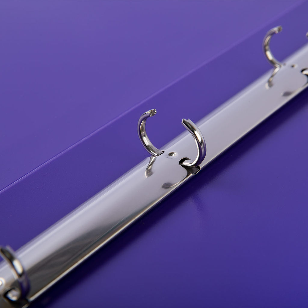 Лео ШколаСад Папка-портфолио школьника на 4 кольцах A4 700 мкм 25 мм песок 1 шт. пурпурный LKP-021