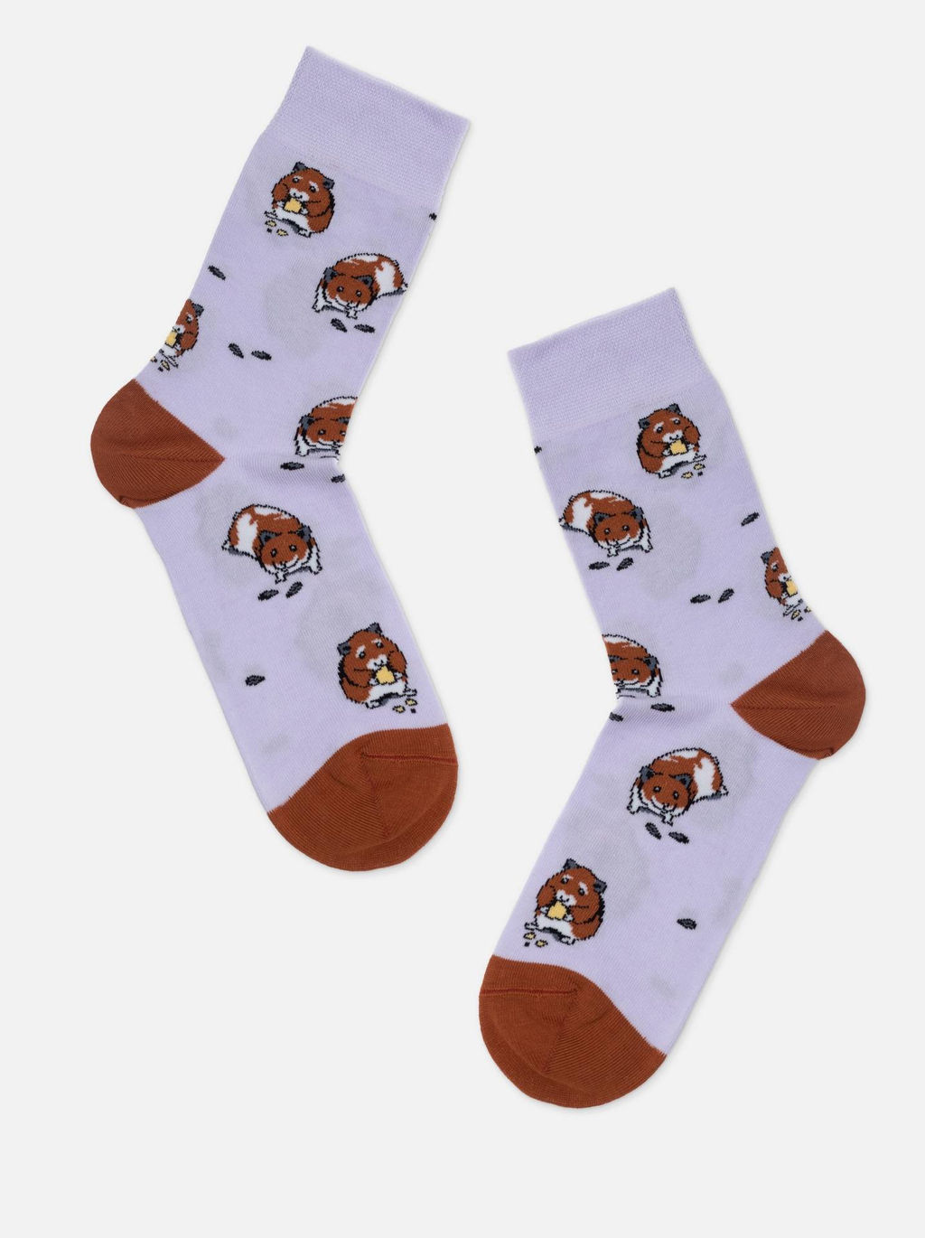 Цена за 2 пары. Носки с рисунком БРЕСТСКИЕ НОСКИ 4200 PETS (средней длины)