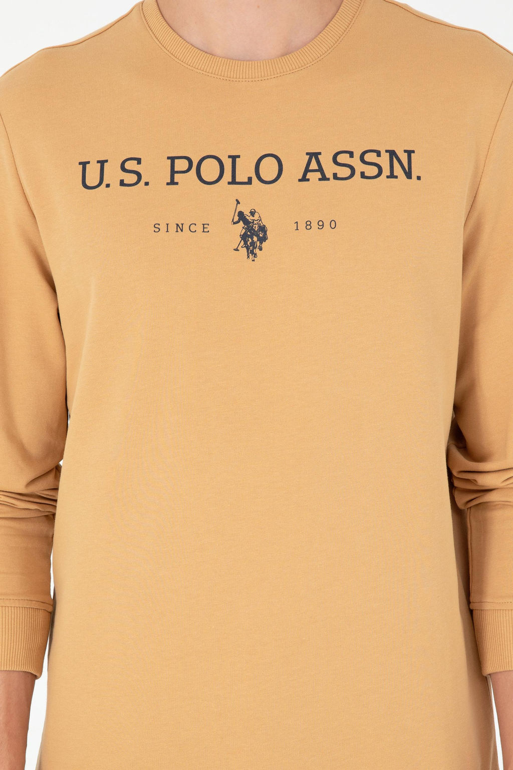 Мужской свитшот светло-коричневого цвета Неожиданная скидка в корзине - U.s. polo assn фото 6