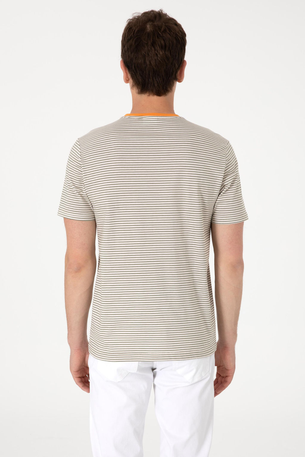 Erkek Regular Fit Bisiklet Yaka Haki _izgili Ti__rt Sepette S_rpriz _ndirim - U.s. polo assn фото 5