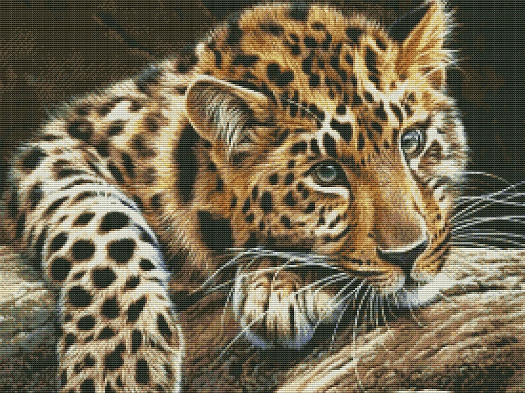 Вышивка крестиком 40х50см, Леопард