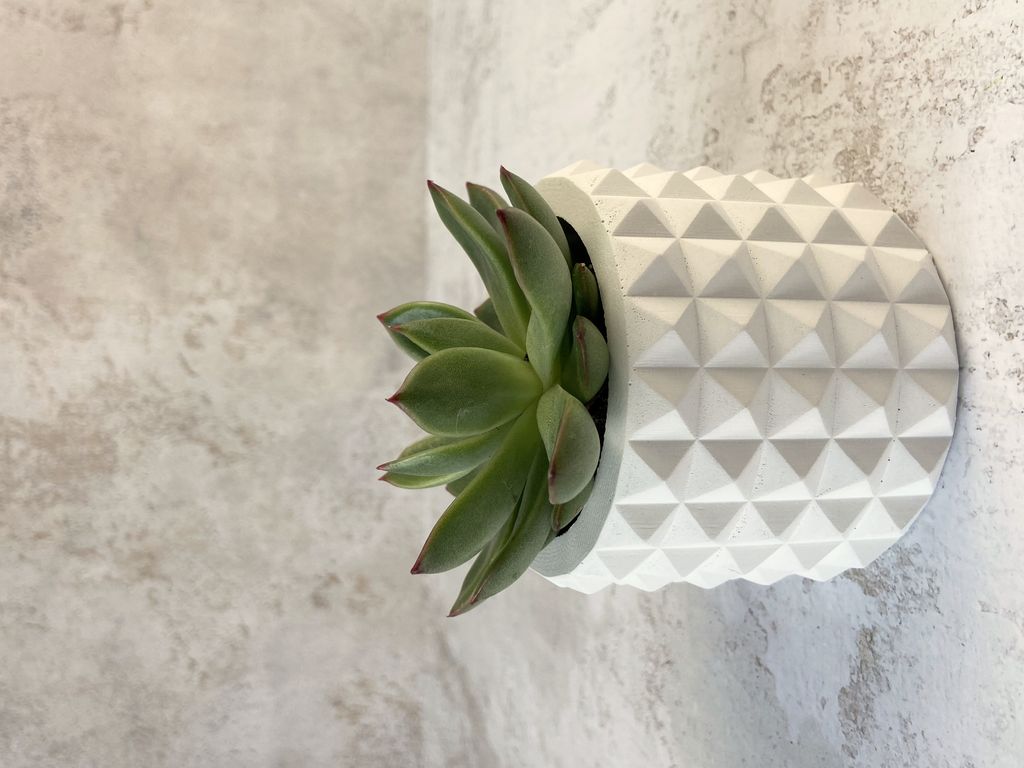 КАШПО КОЛЮЧКА MINI (8,5 х 6,5 см)