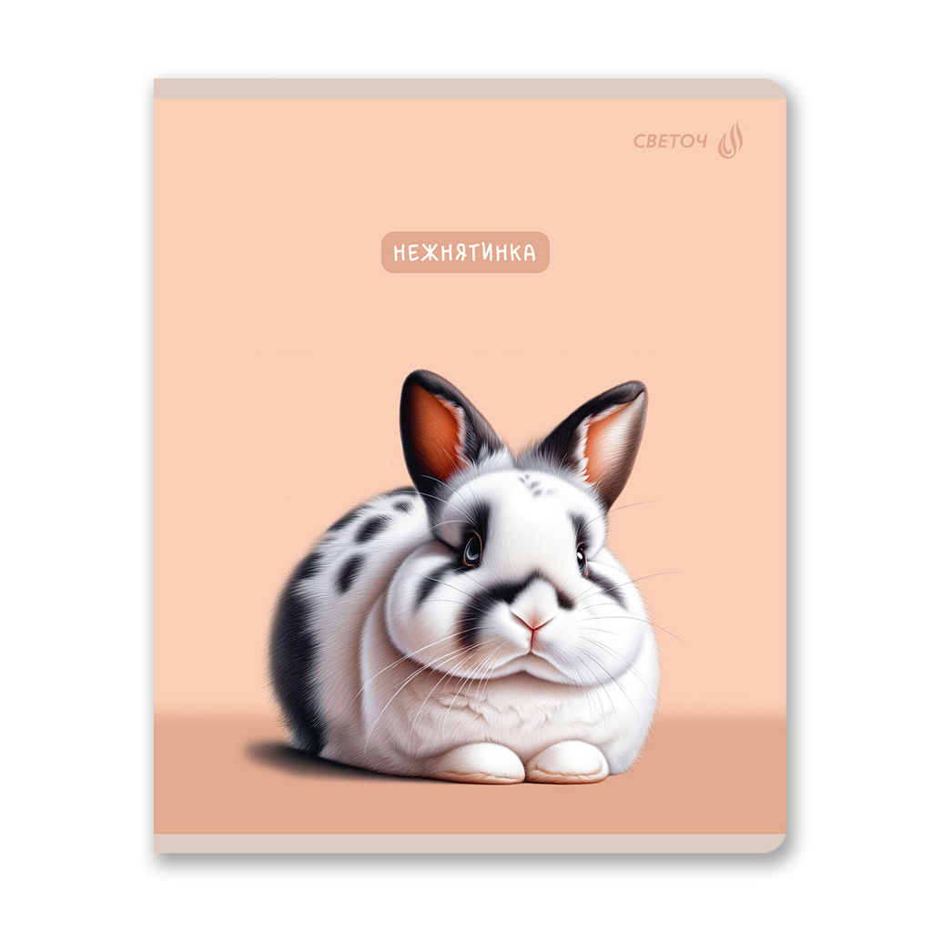 Светоч Т201 Тетрадь ученическая общая, твин лак A5 60 л. на скобе 65 г/кв.м , белизна 100 % 10 шт. клетка 01521 Ушастик  фото 3