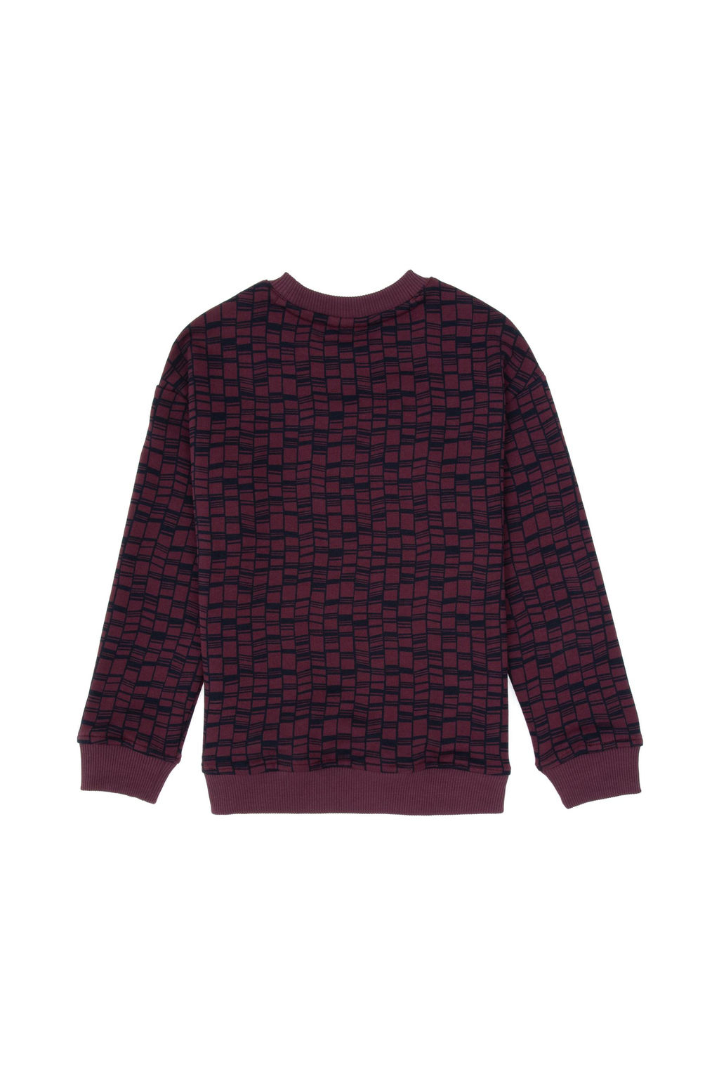 Erkek _ocuk Bordo Bisiklet Yaka Sweatshirt - U.s. polo assn фото 2