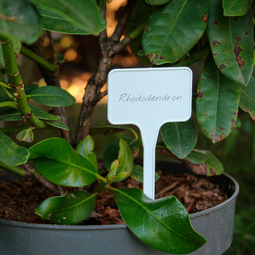 Табличка садовая для маркировки растений 5,5х3,5х15см, полипропилен, белый (Беларусь)