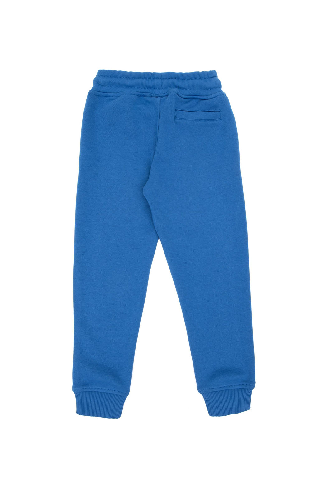 Кобальтово-синие спортивные штаны для мальчика Неожиданная скидка в корзине - U.s. polo assn фото 3